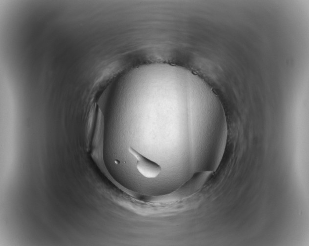 X0000087360027200704271445