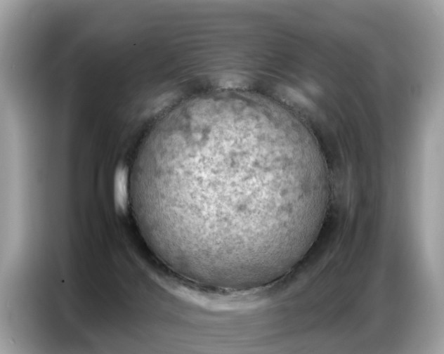 X0000087360028200704271445