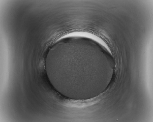 X0000087360029200704271445