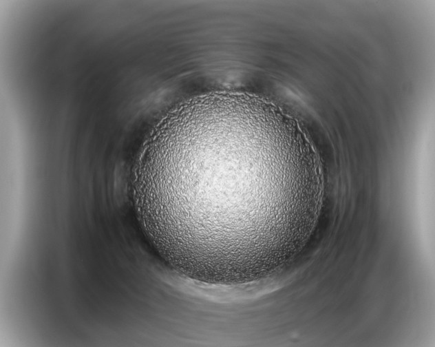 X0000087360030200704271445