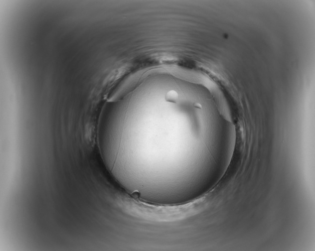 X0000087360031200704271445