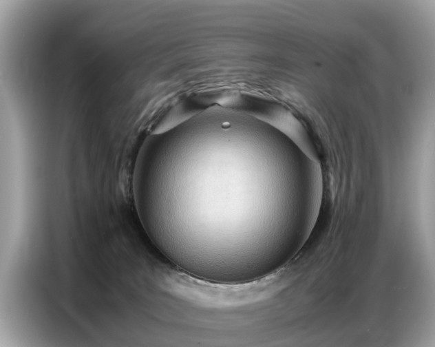 X0000087360035200704271445