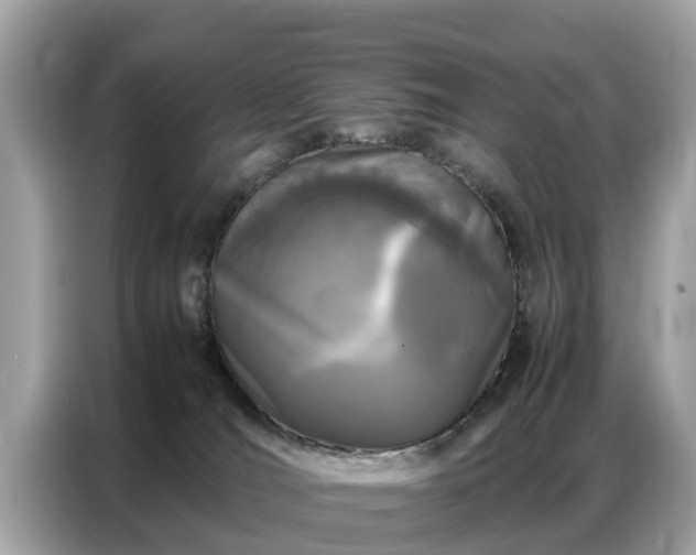 X0000087360036200704271445