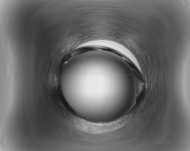 X0000087360039200704271445