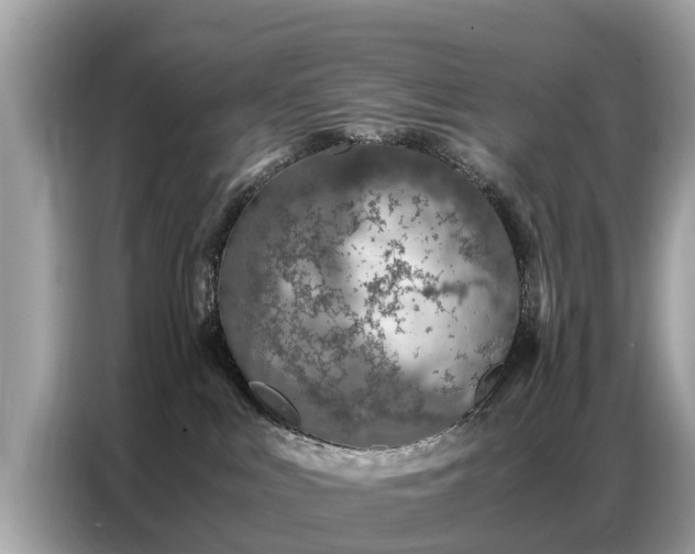 X0000087360043200704271445