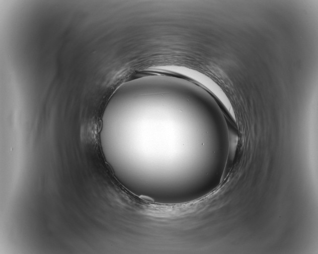 X0000087360045200704271445