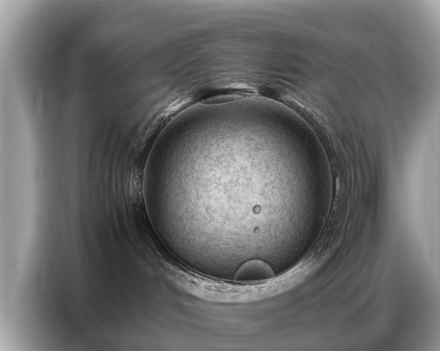 X0000087360048200704271445