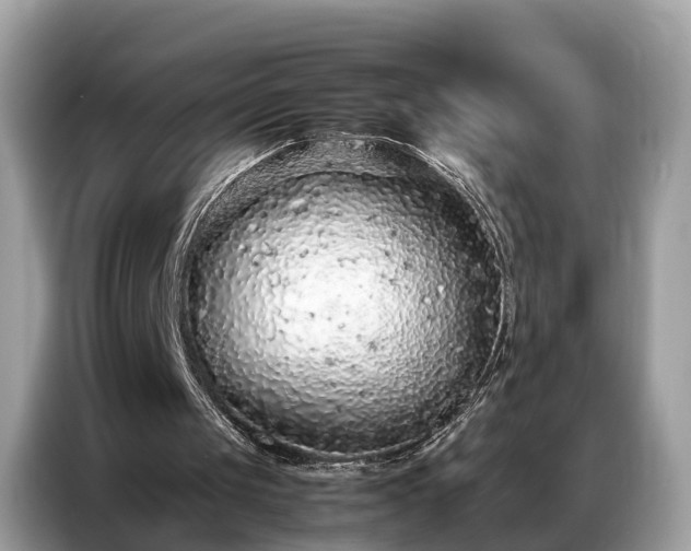 X0000087360049200704271444