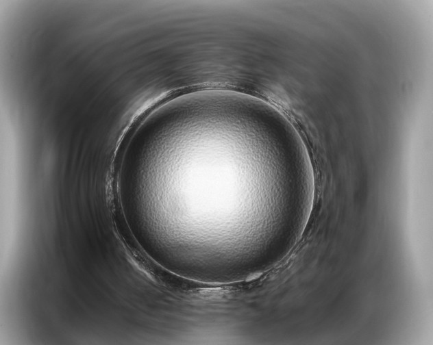 X0000087360050200704271444