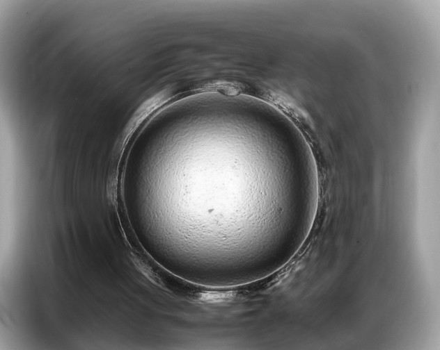 X0000087360051200704271444