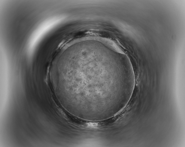 X0000087360052200704271444