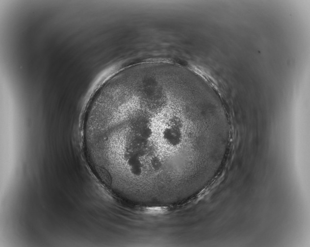 X0000087360053200704271444