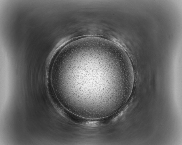 X0000087360055200704271444