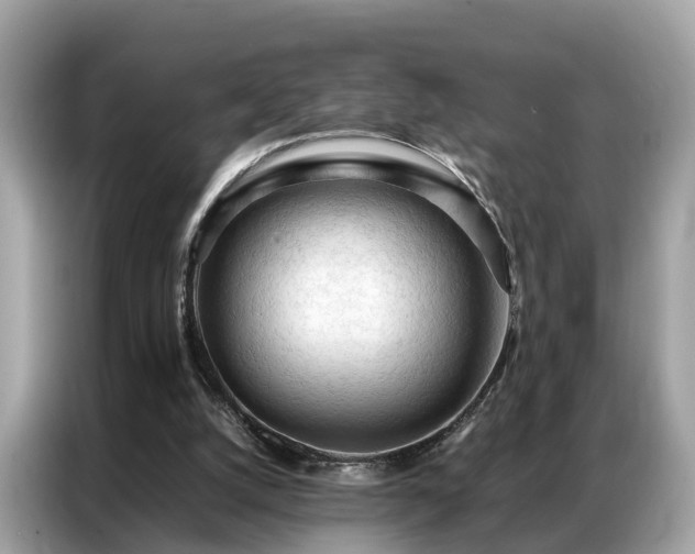 X0000087360056200704271444