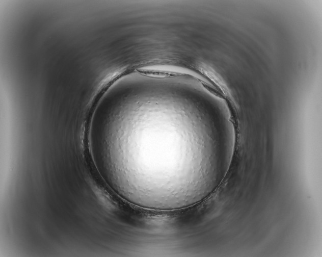 X0000087360058200704271444