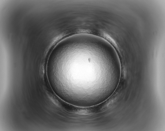 X0000087360059200704271444