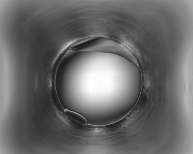 X0000087360060200704271444