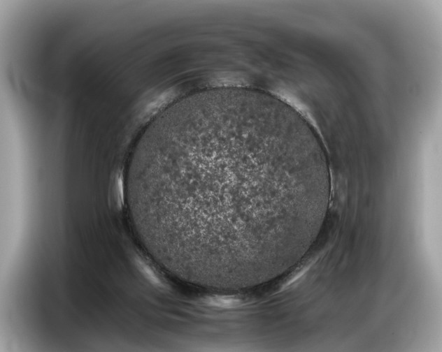 X0000087360061200704271444