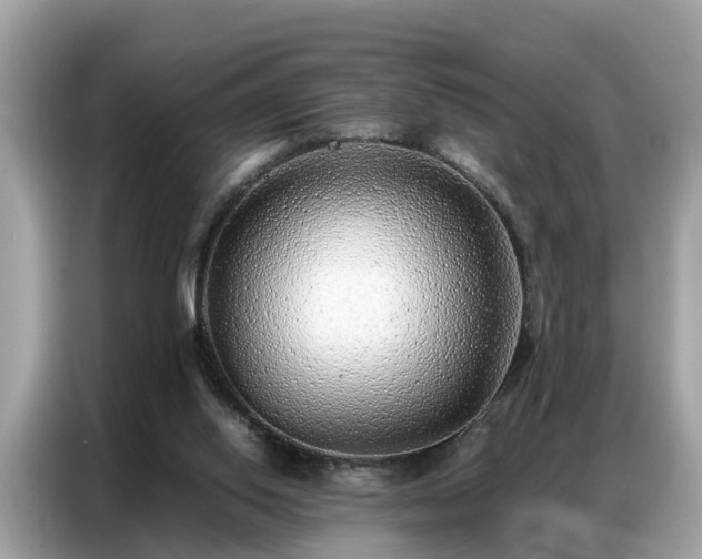 X0000087360062200704271444