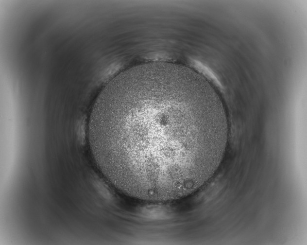 X0000087360065200704271444