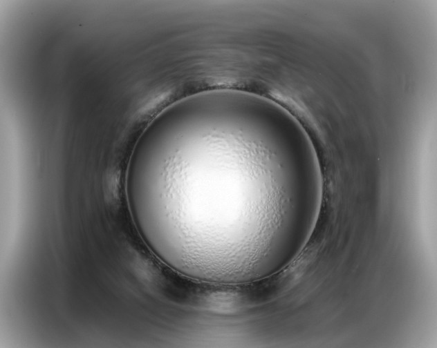 X0000087360066200704271444