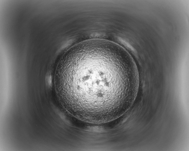 X0000087360067200704271444