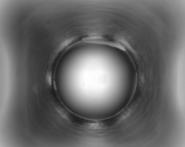 X0000087360068200704271444