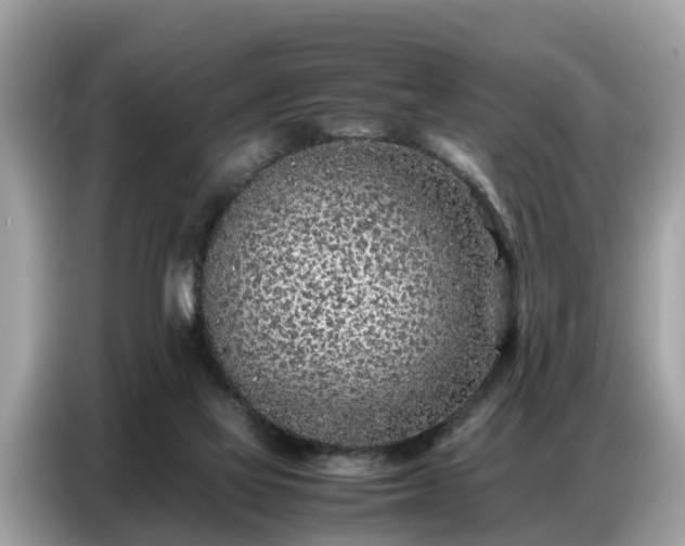 X0000087360069200704271444