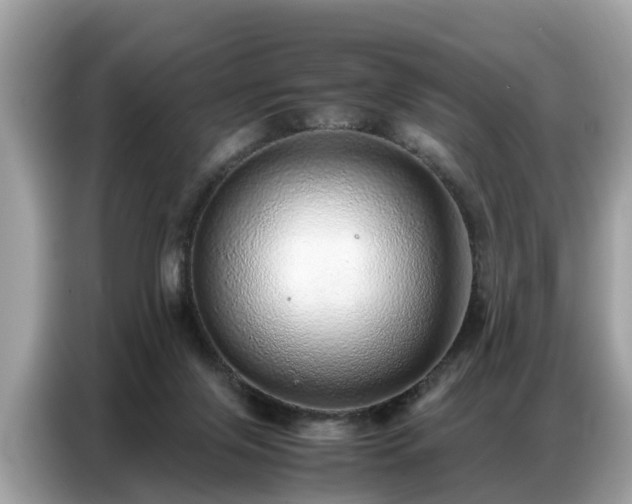 X0000087360071200704271444