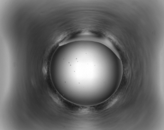 X0000087360072200704271444