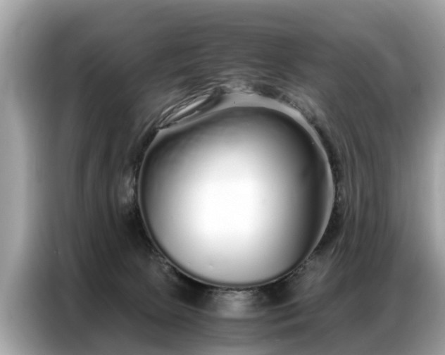 X0000087360081200704271445