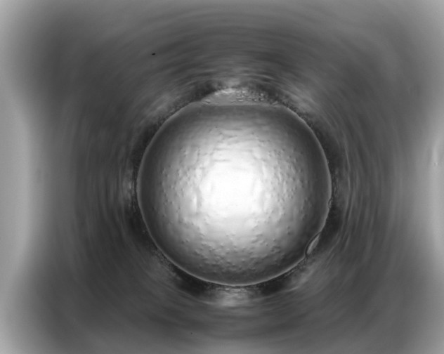 X0000087360085200704271445