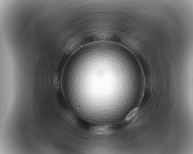 X0000087360086200704271445