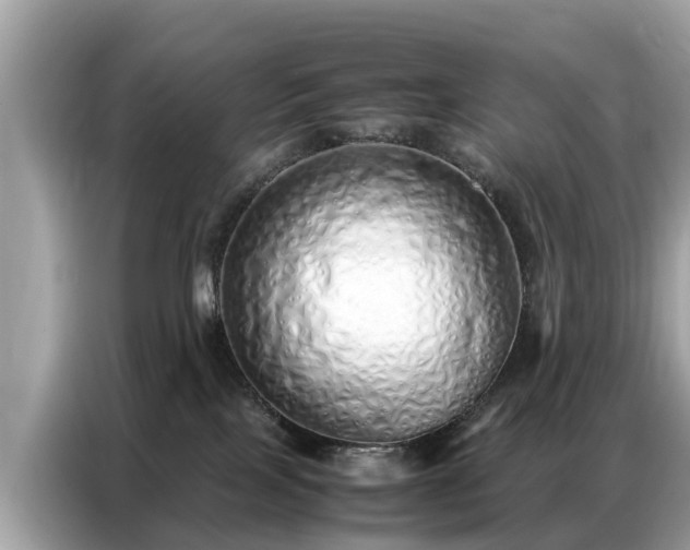 X0000087360089200704271445