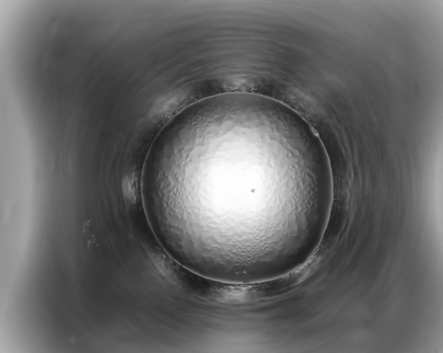 X0000087360090200704271445