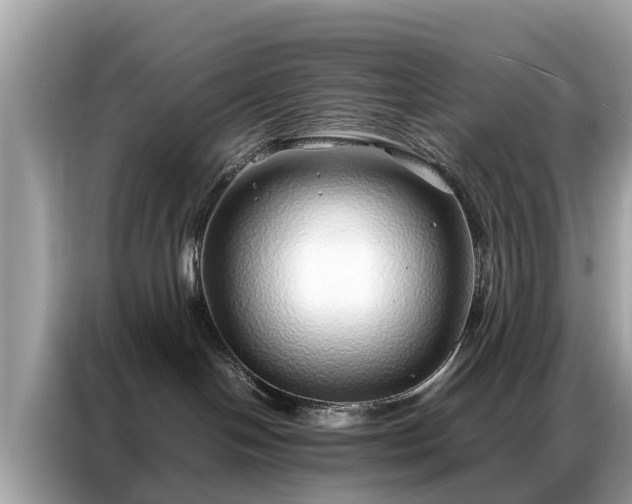 X0000087360094200704271445