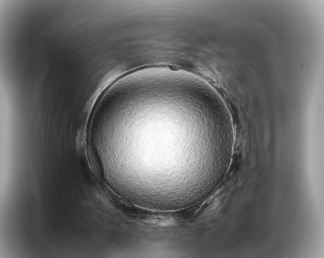 X0000087360099200704271444