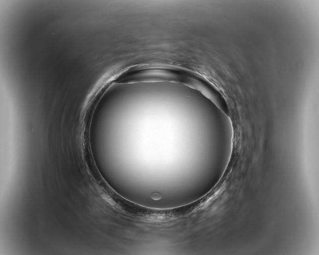 X0000087360101200704271444