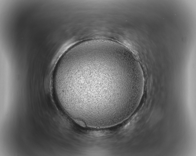 X0000087360103200704271444