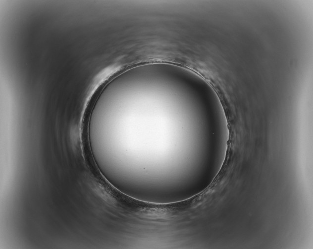 X0000087360104200704271444