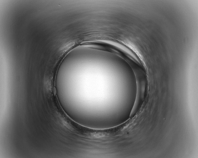 X0000087360105200704271444