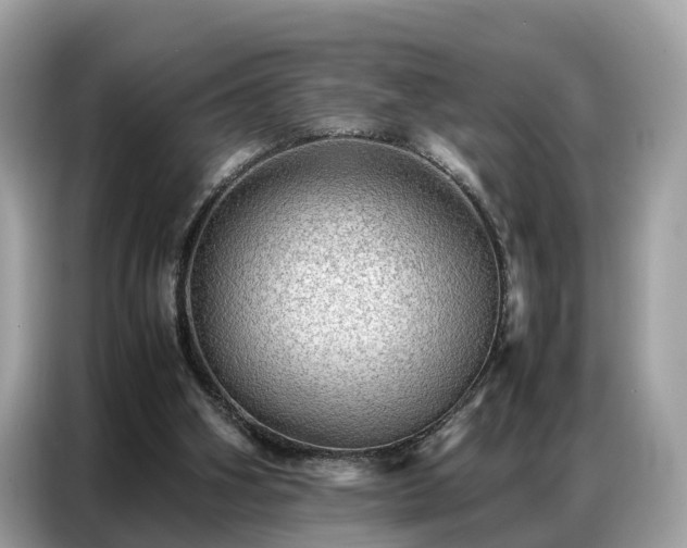 X0000087360106200704271444