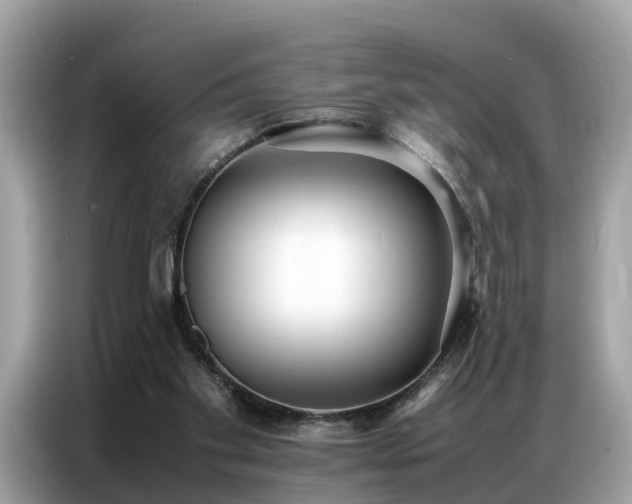 X0000087360109200704271444