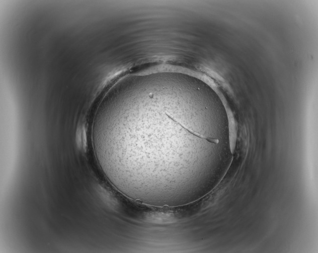 X0000087360110200704271444