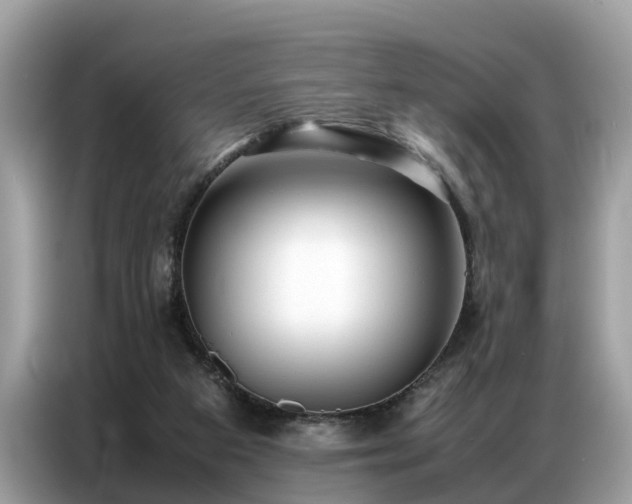 X0000087360113200704271444