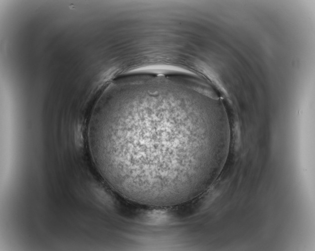 X0000087360114200704271444