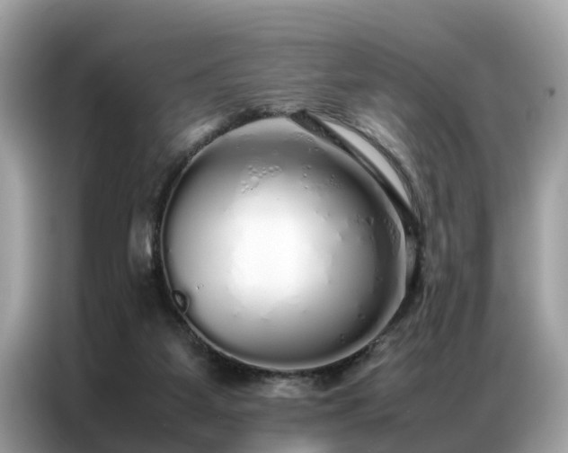 X0000087360115200704271444