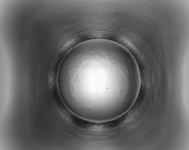 X0000087360119200704271444