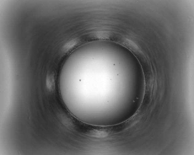 X0000087360120200704271444