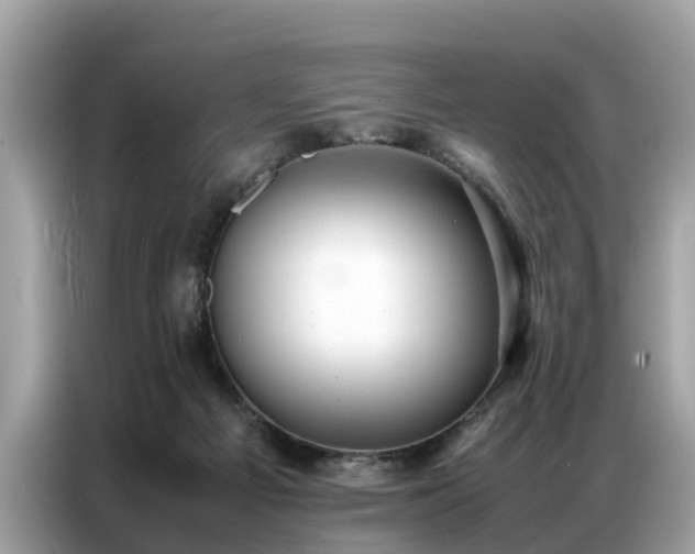 X0000087360121200704271444